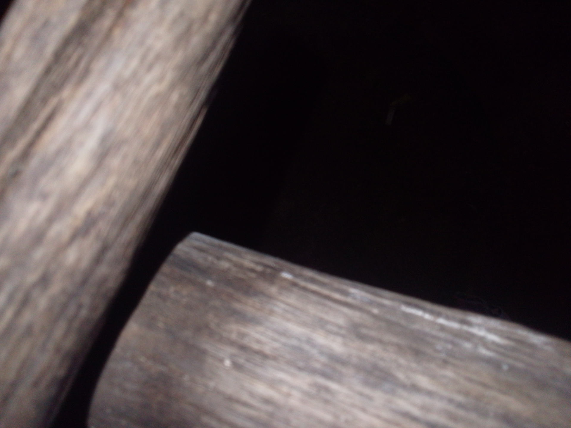 Fotos und Videos